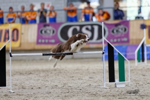 1T0A3725_DxO