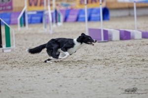 1T0A3904_DxO