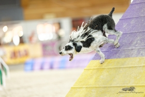1T0A7675_DxO