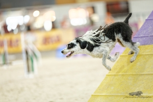 1T0A7677_DxO
