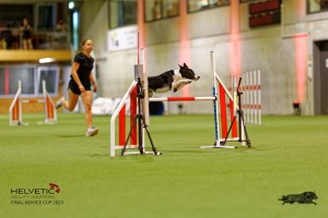 1T0A3214_DxO