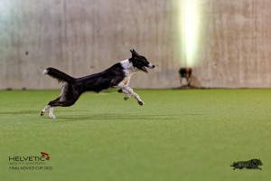 1T0A3229_DxO