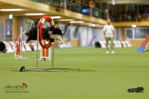 1T0A3281_DxO