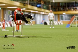 1T0A3282_DxO