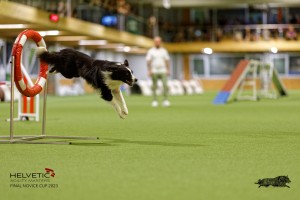 1T0A3284_DxO