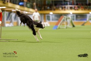 1T0A3286_DxO