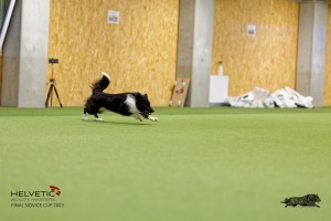 1T0A3359_DxO