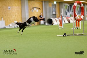1T0A3370_DxO