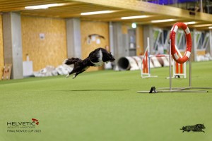 1T0A3371_DxO
