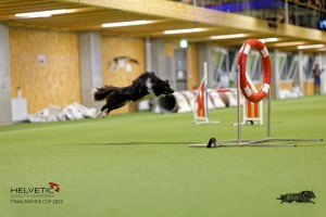 1T0A3372_DxO