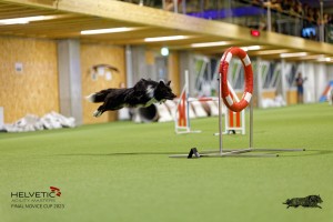 1T0A3373_DxO