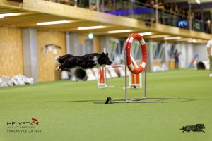 1T0A3374_DxO