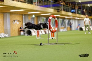 1T0A3375_DxO