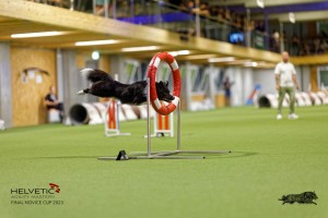 1T0A3376_DxO