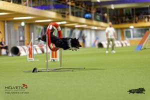 1T0A3378_DxO