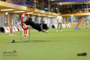 1T0A3379_DxO