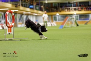 1T0A3381_DxO