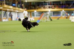 1T0A3383_DxO