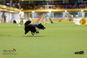 1T0A3384_DxO