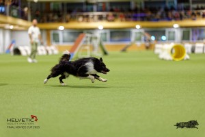 1T0A3385_DxO