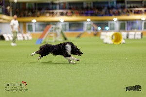 1T0A3386_DxO