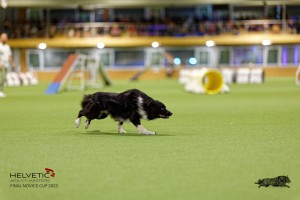 1T0A3387_DxO