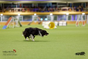 1T0A3388_DxO