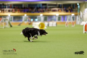 1T0A3389_DxO