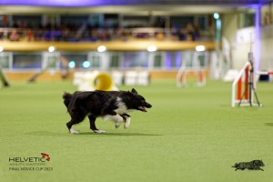 1T0A3390_DxO