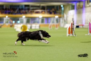 1T0A3391_DxO