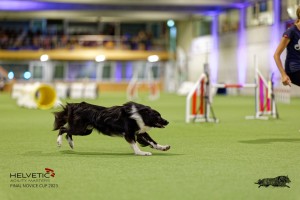 1T0A3392_DxO