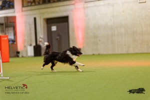 1T0A3452_DxO