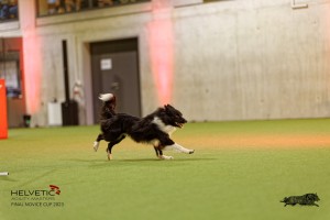 1T0A3453_DxO