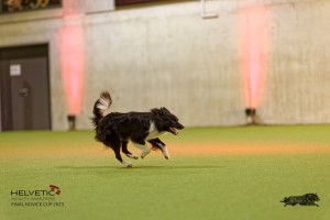 1T0A3458_DxO