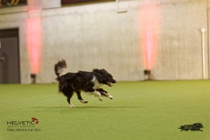 1T0A3459_DxO