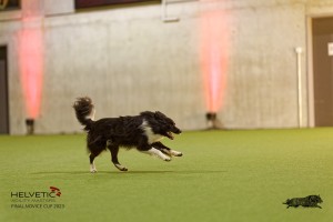 1T0A3460_DxO