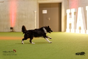 1T0A3470_DxO