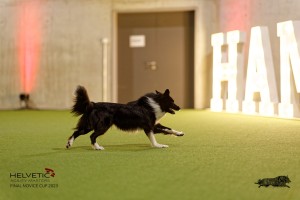 1T0A3471_DxO