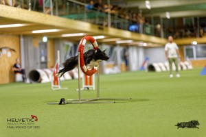 1T0A3482_DxO
