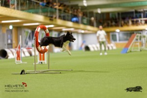 1T0A3484_DxO