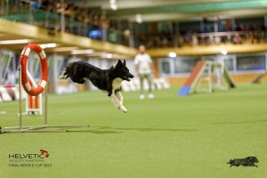 1T0A3486_DxO