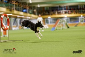 1T0A3487_DxO