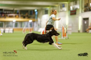 1T0A3494_DxO