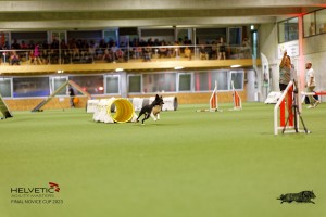 1T0A3513_DxO
