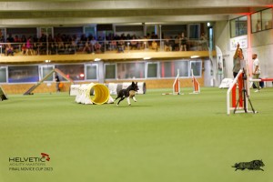 1T0A3514_DxO
