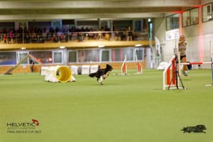 1T0A3519_DxO