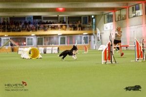 1T0A3522_DxO