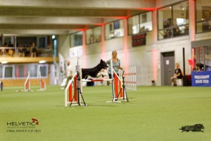 1T0A3535_DxO