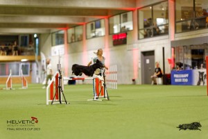 1T0A3537_DxO