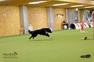 1T0A3553_DxO